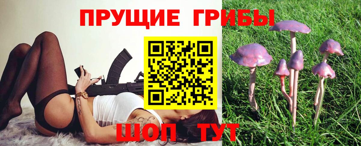 где продают   Галлюциногенные грибы прущие грибы  Новодвинск  Вход с VPN  Псилоцибиновые грибы Psilocybe 