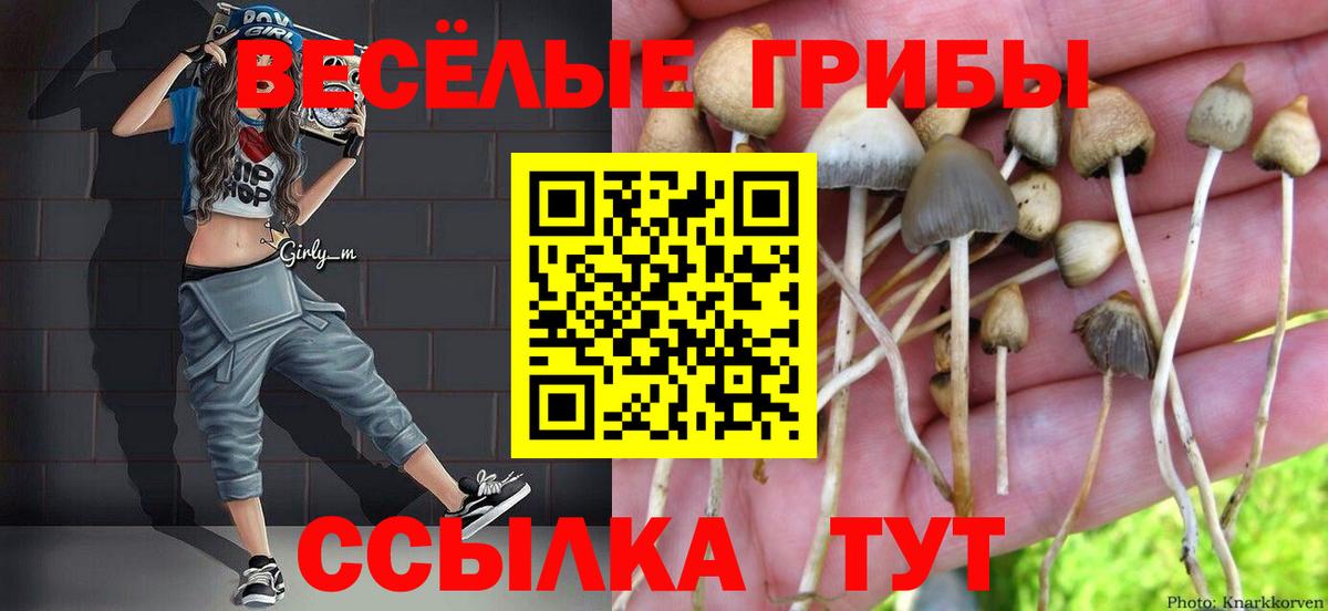 Псилоцибиновые грибы MAGIC MUSHROOMS Новодвинск